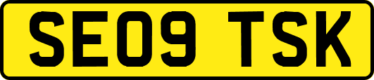 SE09TSK