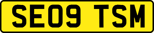 SE09TSM