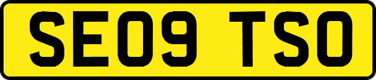 SE09TSO