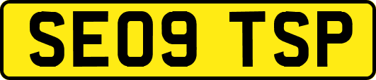 SE09TSP
