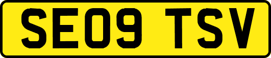 SE09TSV