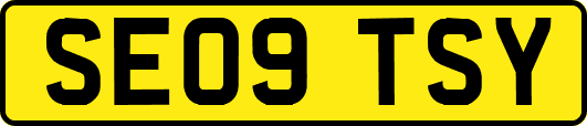 SE09TSY