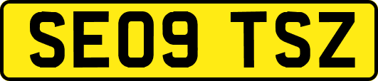 SE09TSZ
