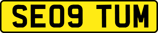 SE09TUM