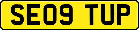 SE09TUP