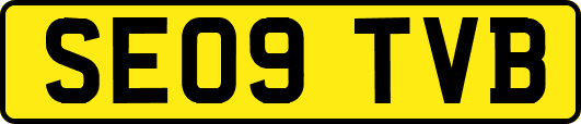 SE09TVB
