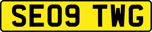 SE09TWG