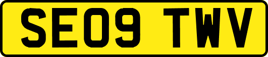 SE09TWV