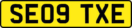 SE09TXE