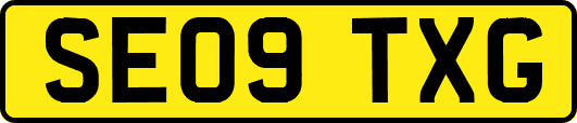 SE09TXG