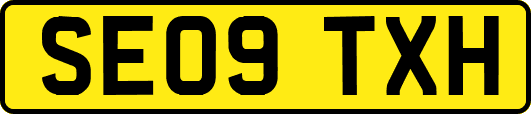 SE09TXH