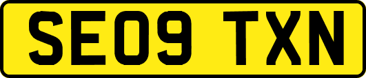 SE09TXN