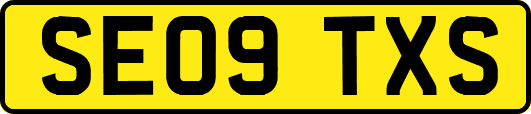 SE09TXS