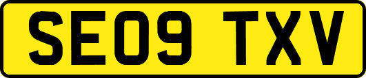 SE09TXV