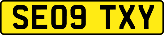 SE09TXY