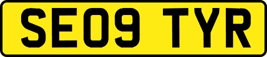 SE09TYR