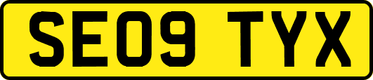 SE09TYX