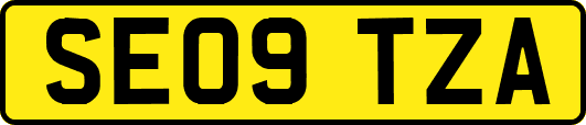 SE09TZA