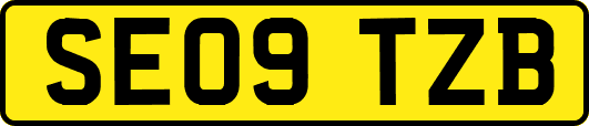 SE09TZB