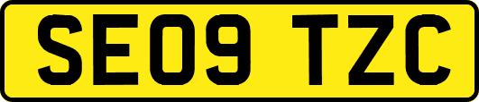 SE09TZC