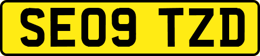 SE09TZD