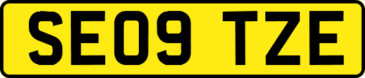 SE09TZE