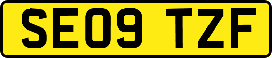 SE09TZF