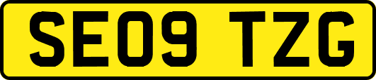 SE09TZG