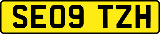SE09TZH