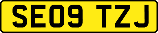 SE09TZJ
