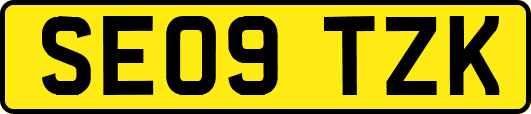 SE09TZK