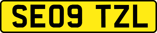 SE09TZL