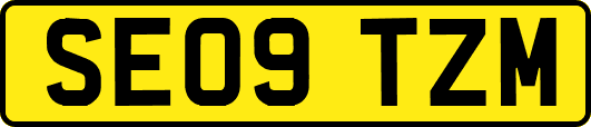 SE09TZM
