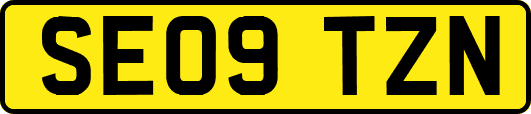 SE09TZN