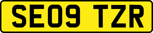 SE09TZR
