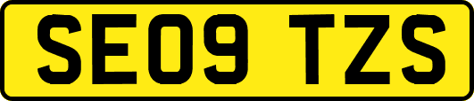 SE09TZS
