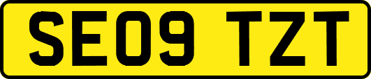 SE09TZT