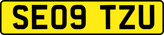 SE09TZU