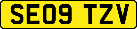 SE09TZV