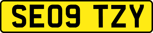 SE09TZY
