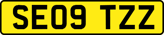 SE09TZZ
