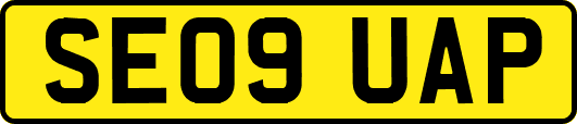 SE09UAP