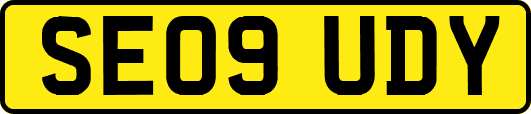 SE09UDY