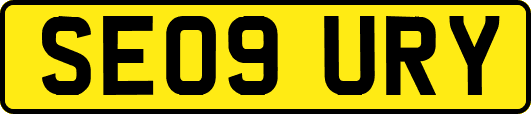 SE09URY