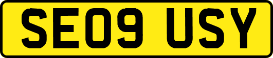 SE09USY
