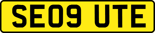 SE09UTE