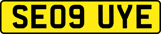 SE09UYE