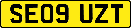 SE09UZT