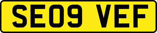 SE09VEF