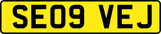 SE09VEJ